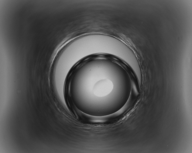 X0000087680344200705041033