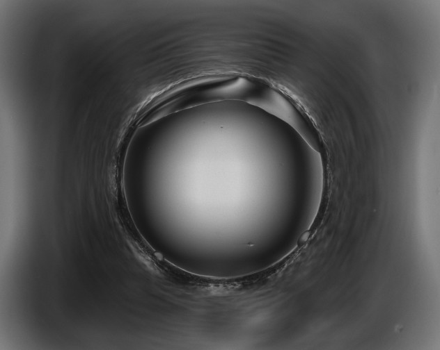 X0000087680345200705041033