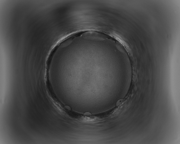 X0000087680346200705041033
