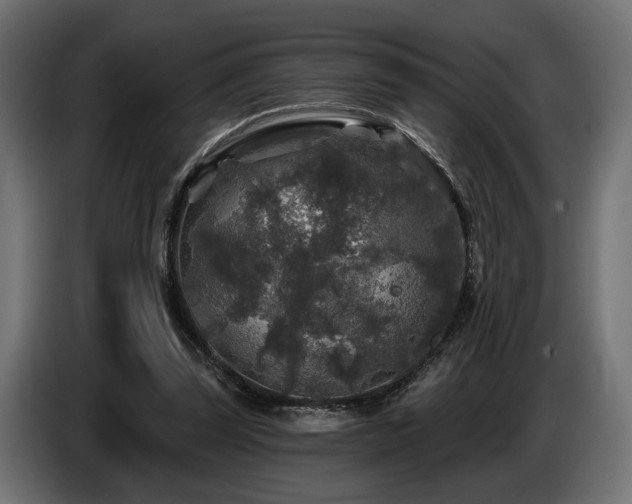 X0000087680347200705041033