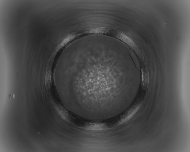 X0000087680348200705041033