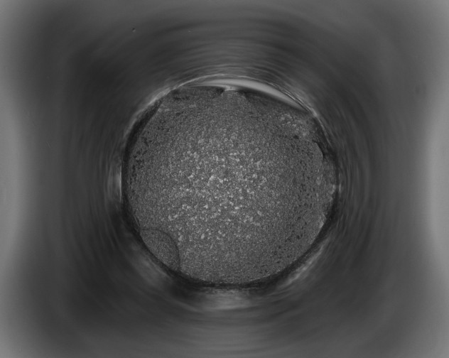 X0000087680349200705041033