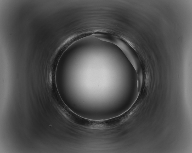 X0000087680350200705041033
