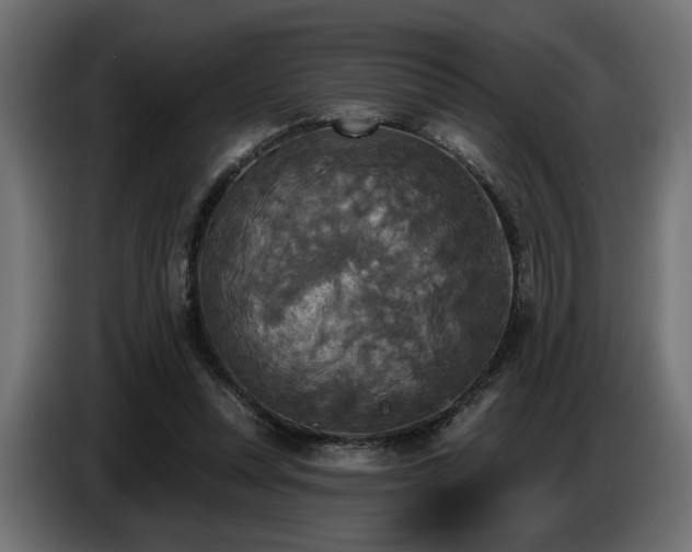 X0000087680351200705041033