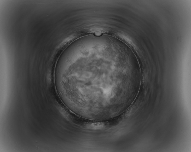 X0000087680353200705041033