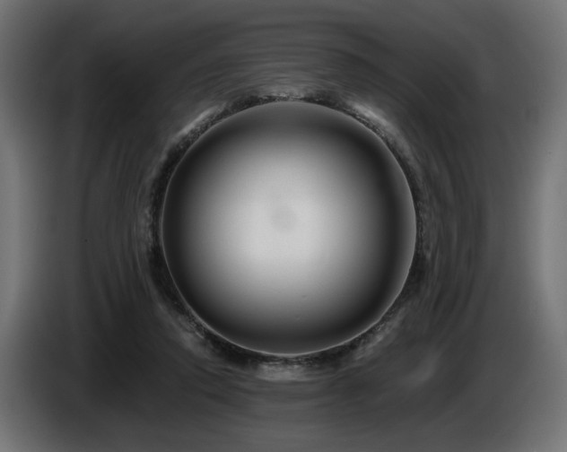 X0000087680354200705041033