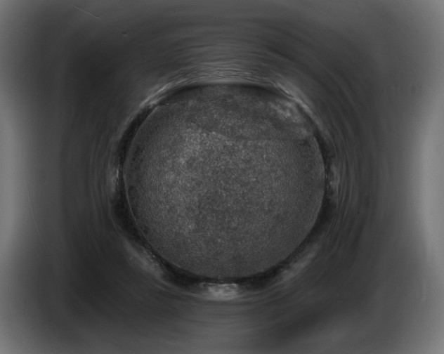 X0000087680355200705041033