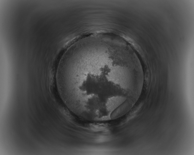 X0000087680359200705041033
