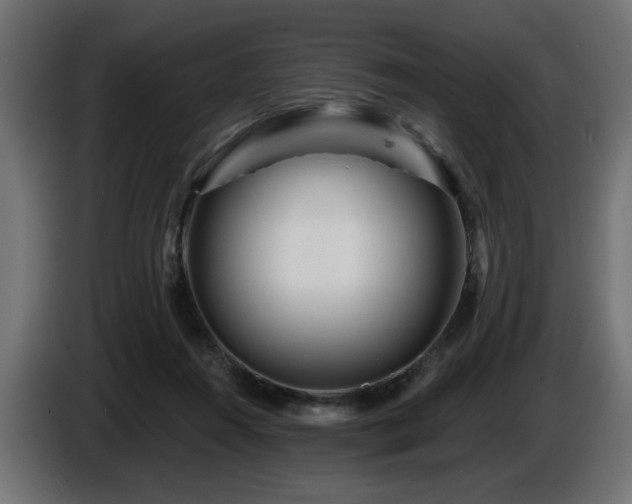 X0000087680360200705041033