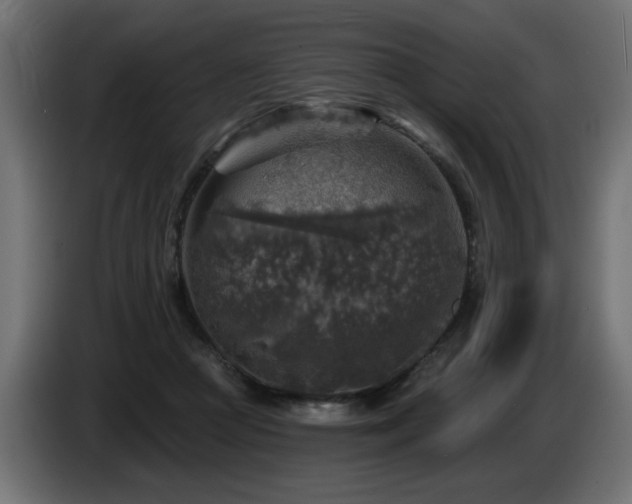 X0000087680361200705041033