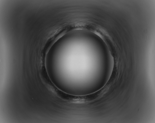 X0000087680362200705041033