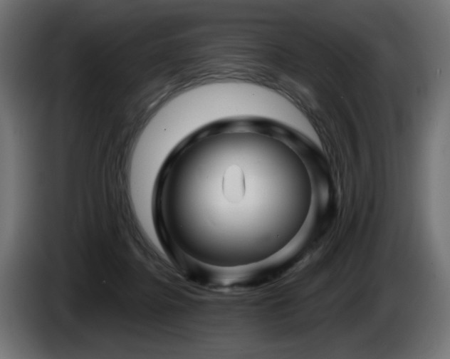 X0000087680364200705041033
