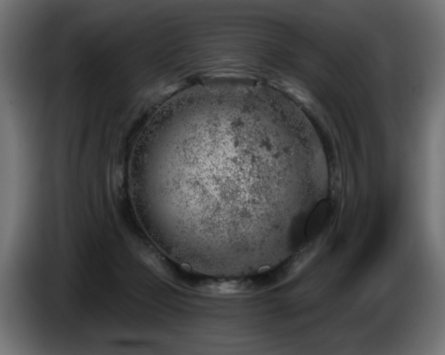 X0000087680365200705041033