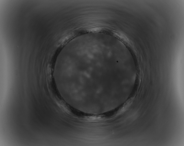 X0000087680366200705041033