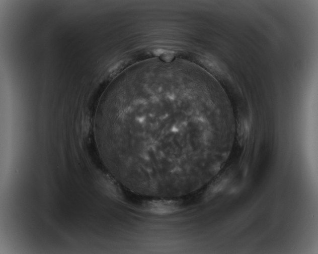 X0000087680367200705041033