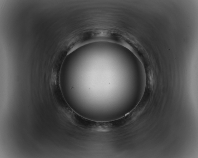 X0000087680368200705041033