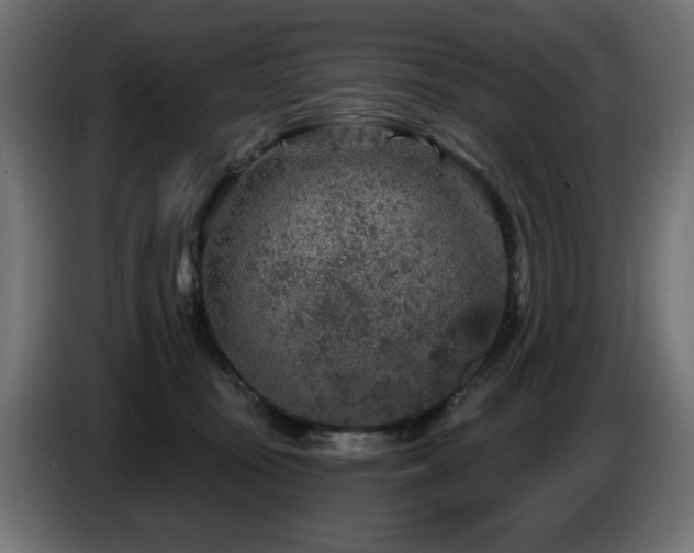 X0000087680371200705041033
