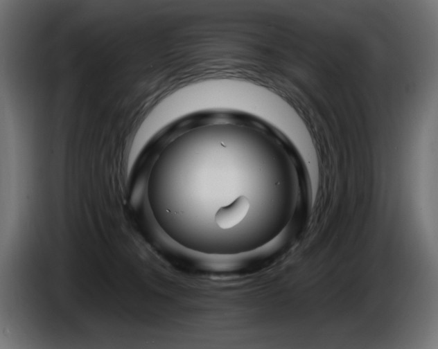 X0000087680372200705041033