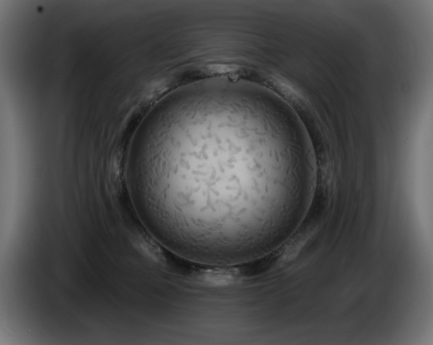 X0000087680373200705041033