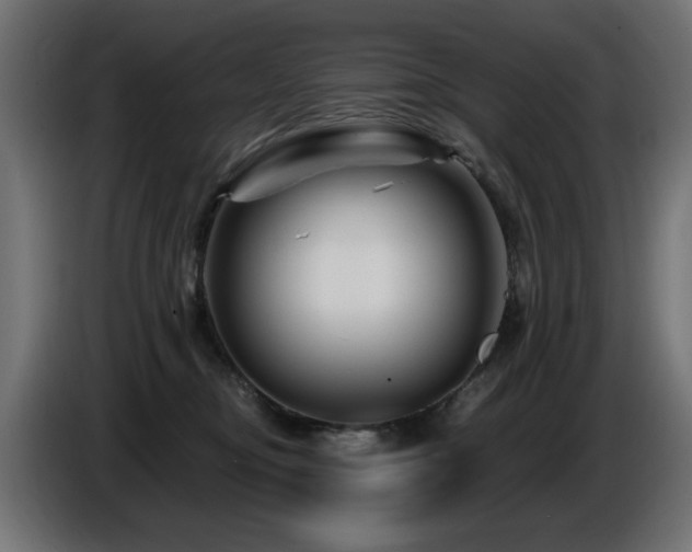 X0000087680374200705041033