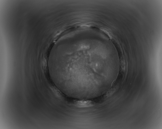 X0000087680375200705041033