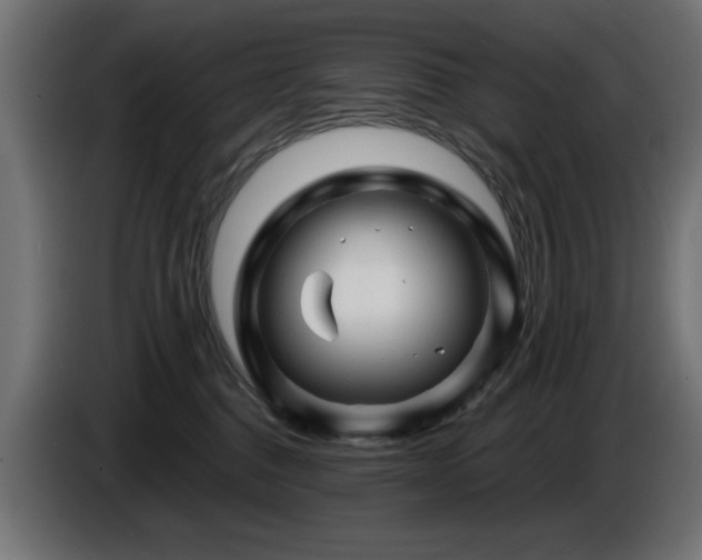 X0000087680376200705041033