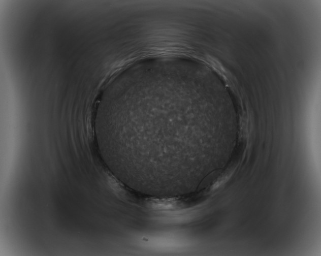X0000087680377200705041033