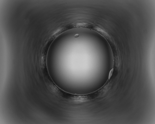 X0000087680378200705041033
