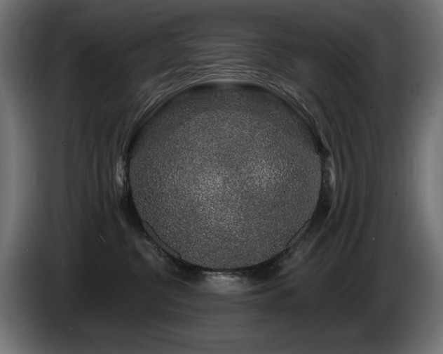 X0000087680380200705041033