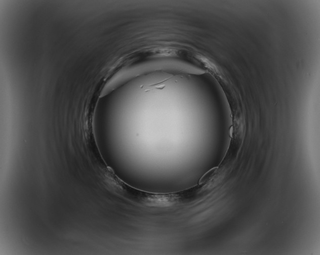 X0000087680381200705041033