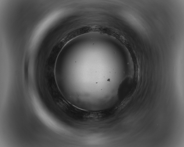X0000087680383200705041033