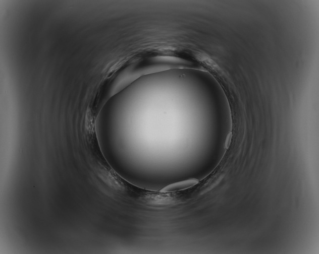 X0000087680384200705041033