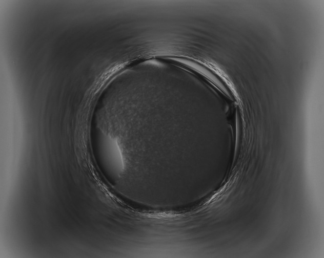 X0000087680385200705041033