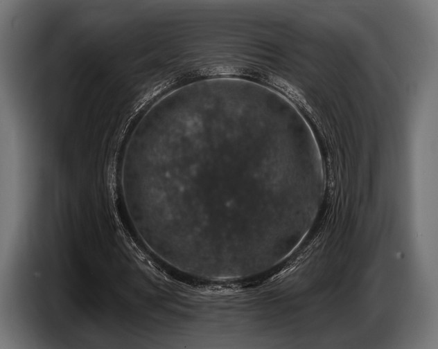 X0000087680386200705041033