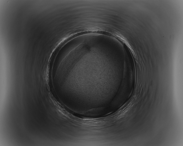 X0000087680387200705041033