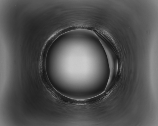X0000087680388200705041033