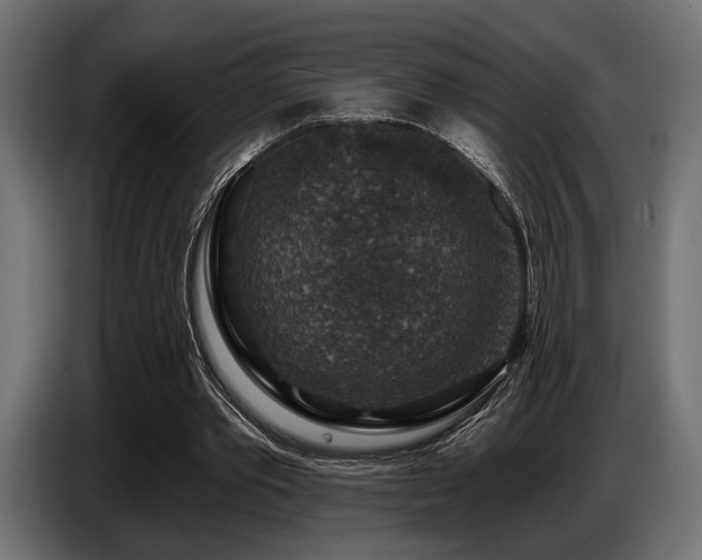 X0000087680389200705041033