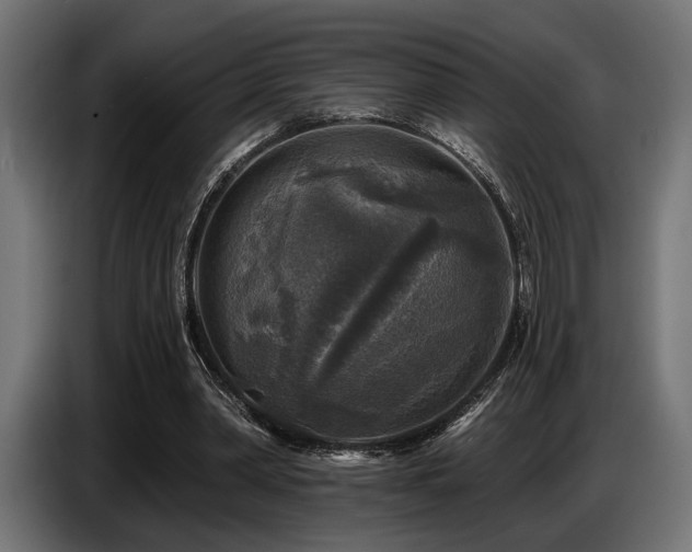X0000087680390200705041033