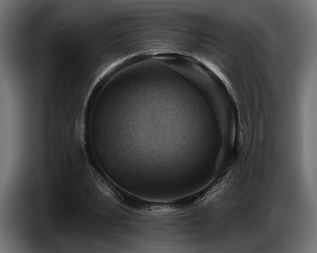 X0000087680391200705041033