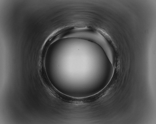 X0000087680392200705041033