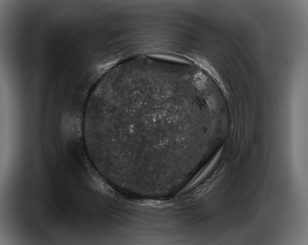 X0000087680393200705041033