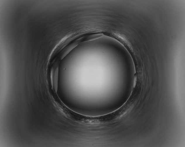 X0000087680395200705041033