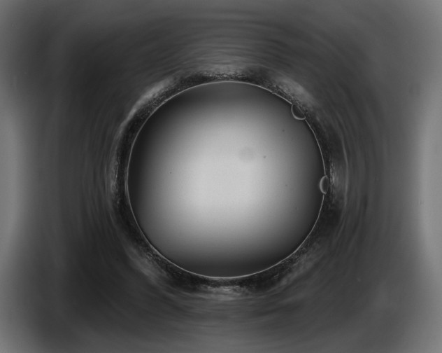 X0000087680396200705041033