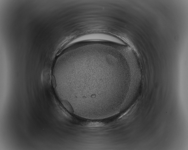 X0000087680397200705041033
