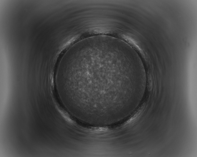 X0000087680398200705041032