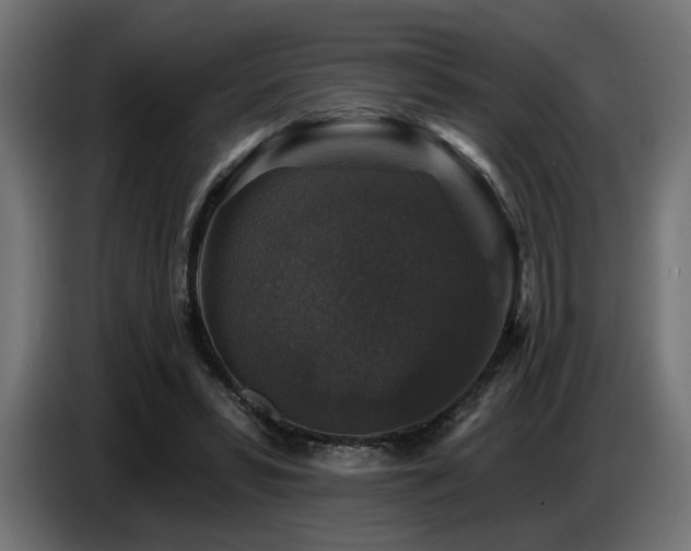 X0000087680399200705041032