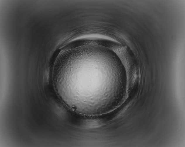 X0000087680404200705041032