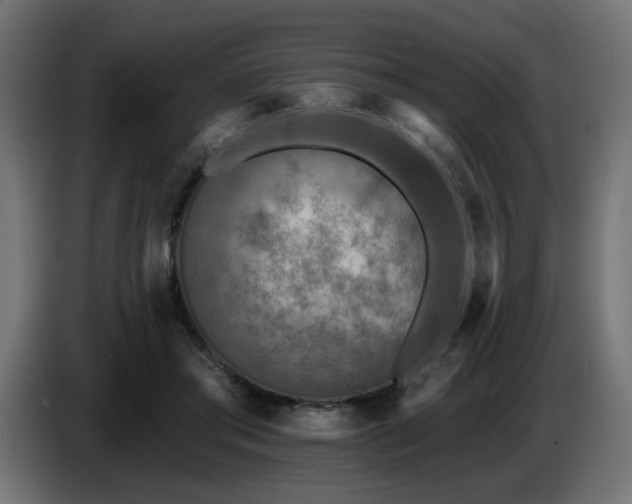 X0000087680405200705041032