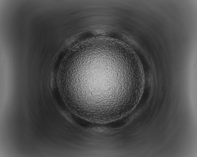 X0000087680408200705041032