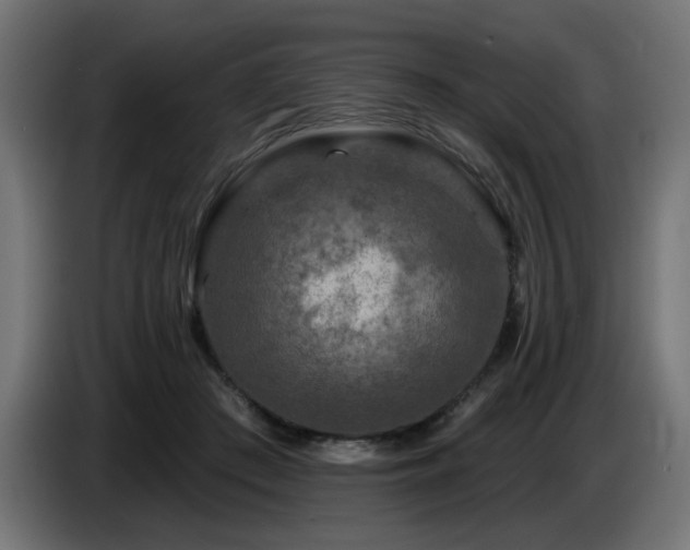 X0000087680409200705041032